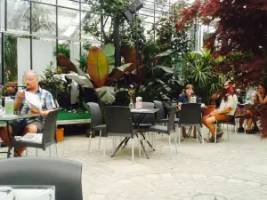 Cafeteria La Gioia