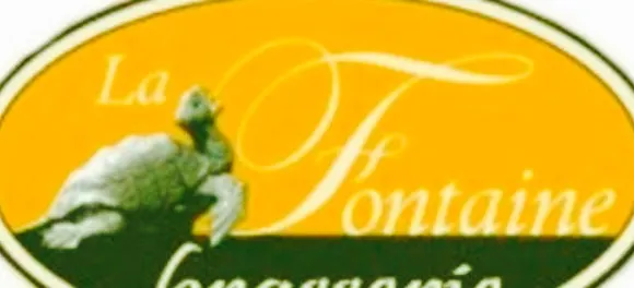 Brasserie de la Fontaine