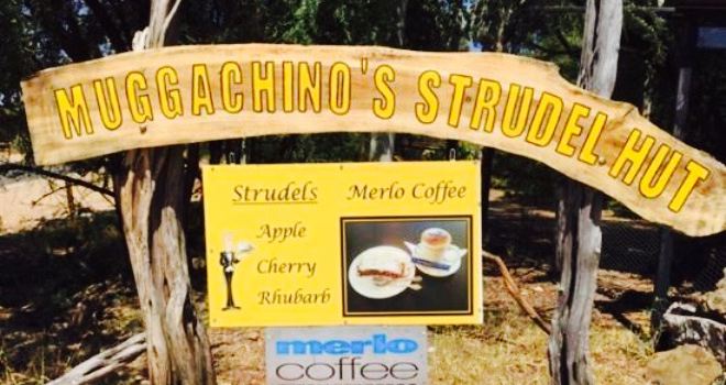 Muggachinno's