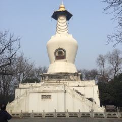 YANG ZHOU YAN User Photo