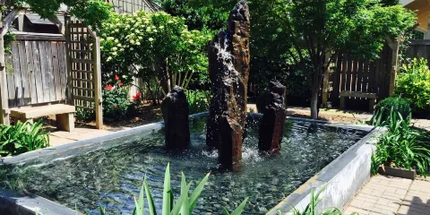 Linnaeus Teaching Gardens