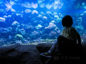 칭다오 해저세계/언더워터월드