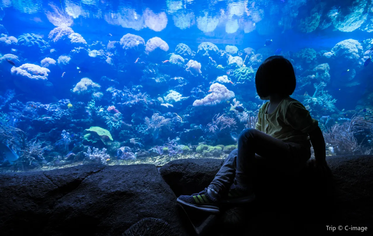 4_青島海底世界