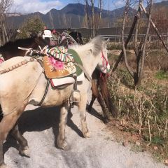 Lashihaichamagudao Grilled Fish User Photo