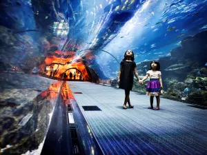 Dubai Aquarium & Underwater Zoo
