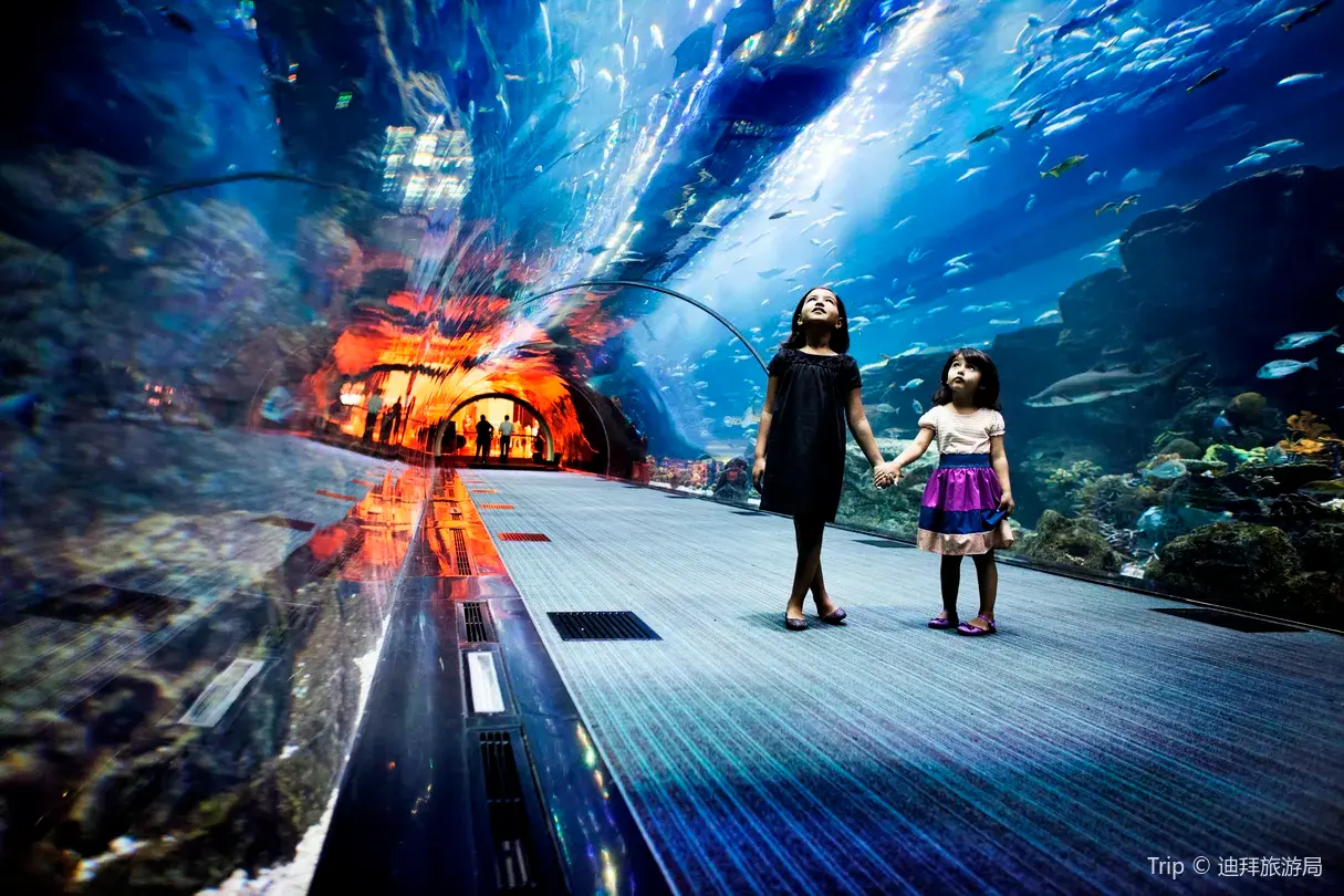 Dubai Aquarium & Underwater Zoo