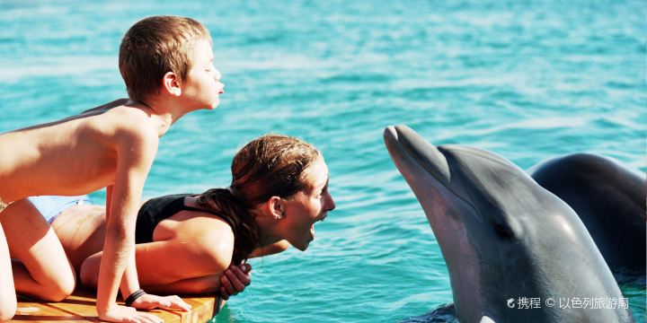 Dolphin Reef Beach