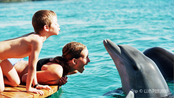 Eilat