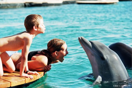 Dolphin Reef Beach