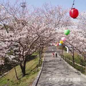 大將陣公園