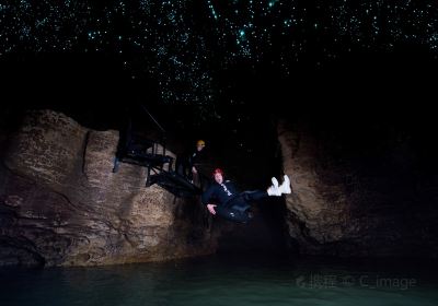 Waitomo Caves