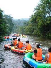 Wulingyan Canyon Drifting