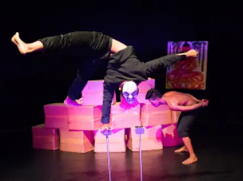 Phare, The Cambodian Circus