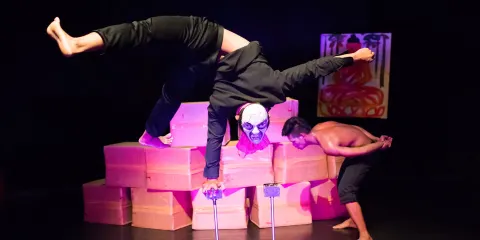 暹粒馬戲團表演