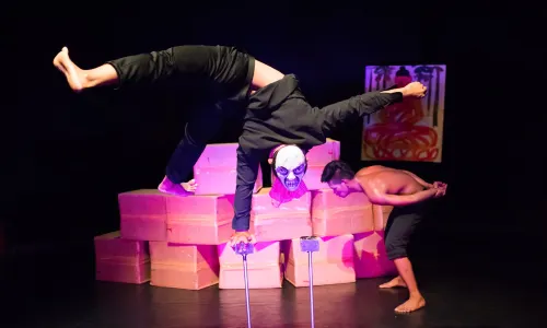 Phare, The Cambodian Circus