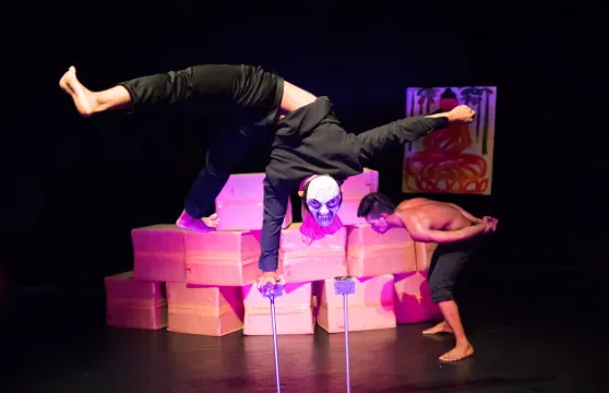 暹粒馬戲團表演票成人