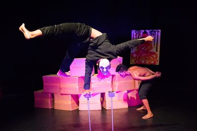 Phare, The Cambodian Circus