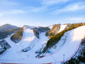 Popular Ski Resorts in Chuncheon-si