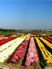 Hushu Demonstration Zone of Modern Agriculture