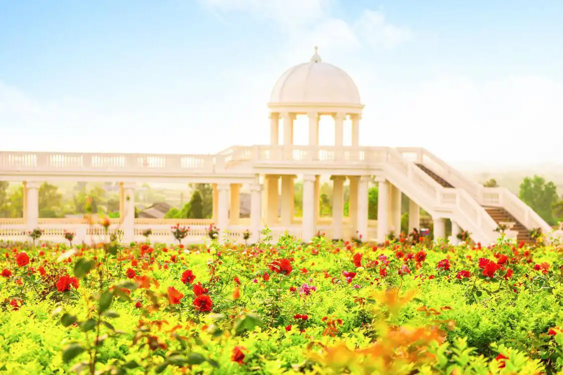 Hotels near Rose Sea