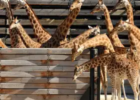 パリ動物園
