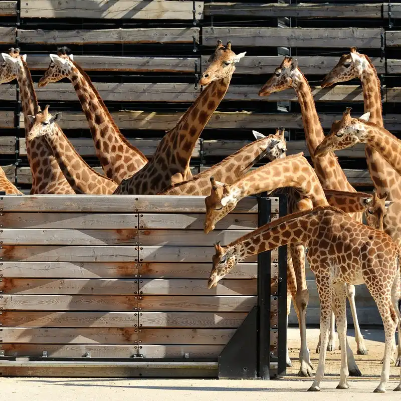 Hotels near Paris Zoological Park