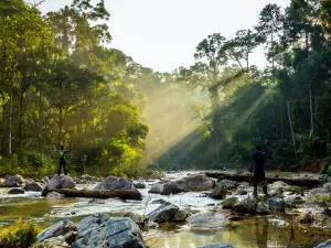 Taman Negara Malaysia