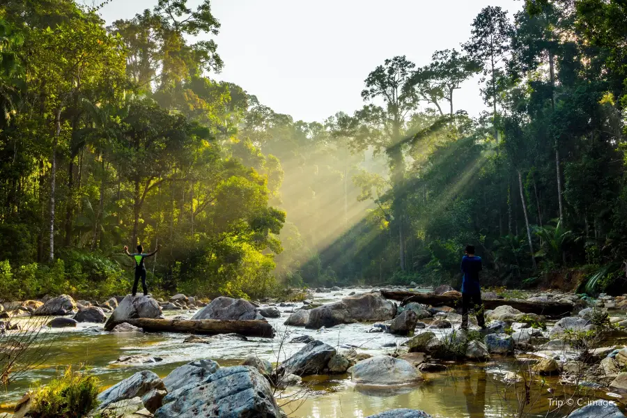 Parque nacional Taman Negara