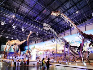 Xixia Dinosaur Relics Park