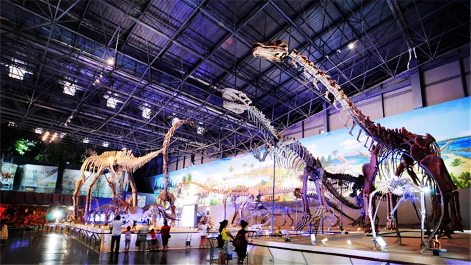 3_Xixia Dinosaur Relics Park