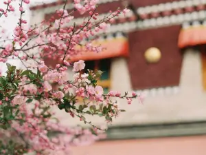 Kumbum Monastery