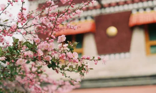 Kumbum Monastery