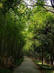 Qishan Botanical Garden