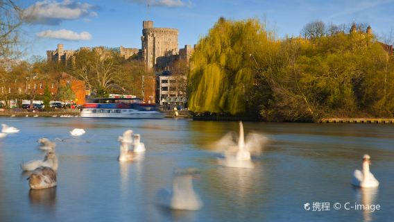 Eintägige Tour von London, Großbritannien, nach Windsor Castle