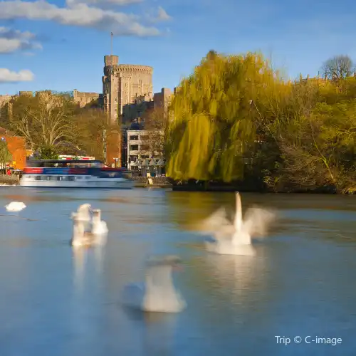 Top 10 Fall Viewing Attractions in London