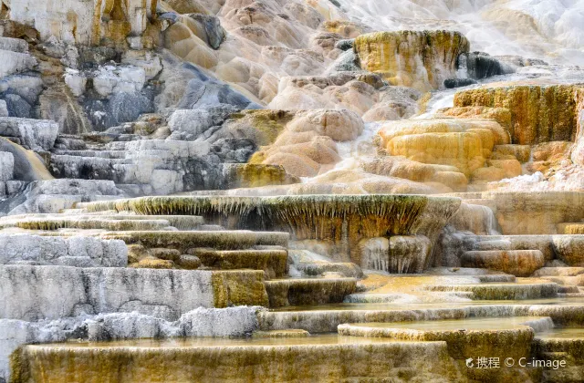 黃石國家公園:領略大自然的鬼斧神工