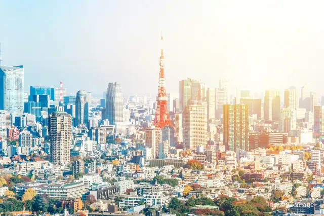 Walking Tours in Tokyo