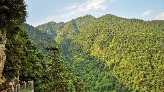 Yunshan National Forest Park
