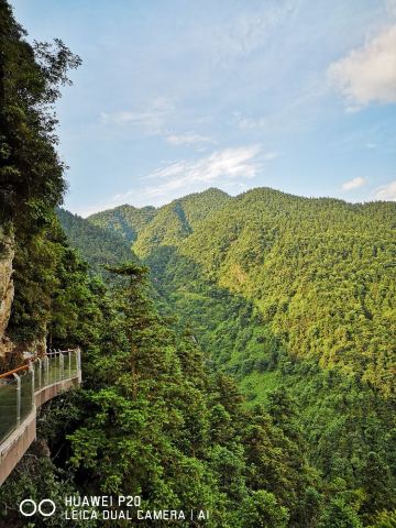 윈산/운산 국립삼림공원