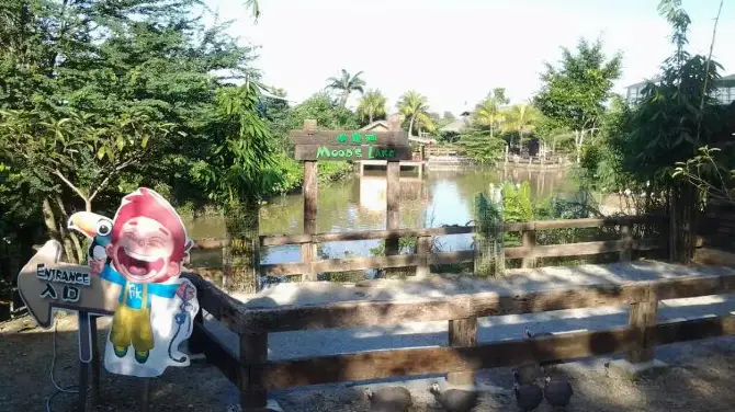 4_Farm In The City