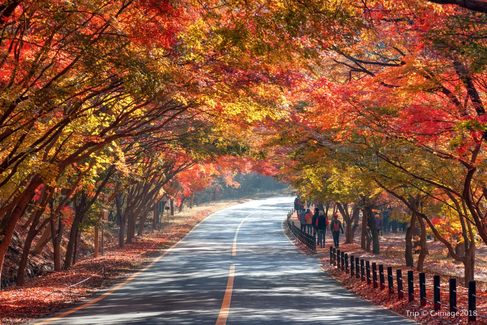 3_내장산국립공원