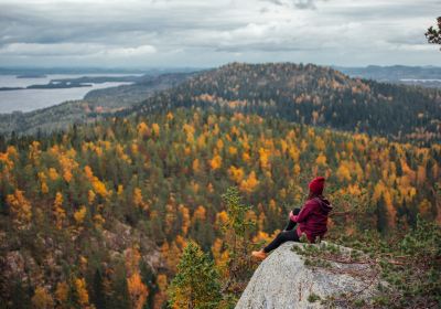 Koli National Park