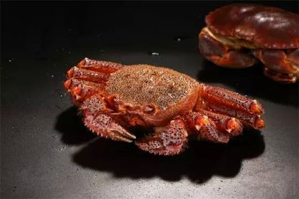 THE KINGDOM OF CRAB