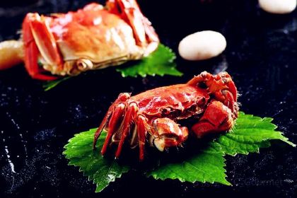 重返白樺林花園餐廳