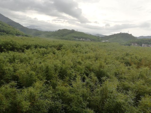 Zhuhai Grand View