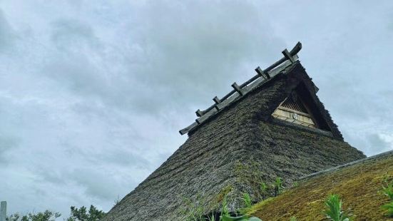 這裏自然環境好好啊，綠樹成蔭的，小屋子也很有鄉下田園的感覺，