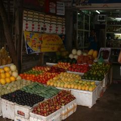 Quan Bia Cau Cang Ca User Photo