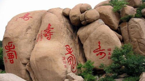 The Bamboo Forest Longevity Mountain