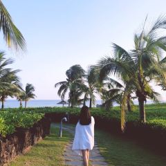 The Westin Blue Bay Resort & Spa· Five Sen5es User Photo