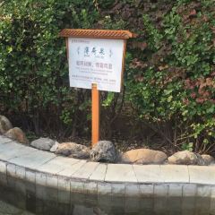 霸州茗汤日月潭温泉会馆·中餐厅 여행 사진